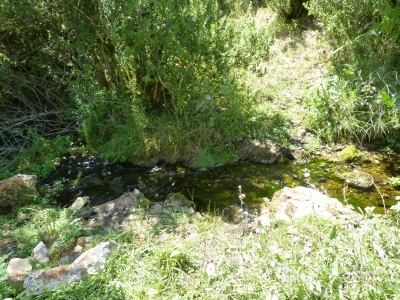 Fuente la Zorrera - imagen 8