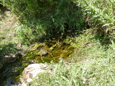 Fuente la Zorrera - imagen 9