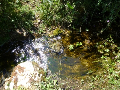 Fuente la Zorrera - imagen 10