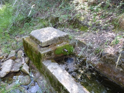 Fuente de la Mimbrera - imagen 3