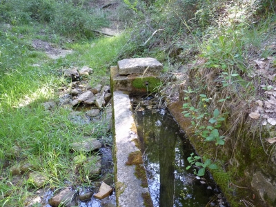 Fuente de la Mimbrera - imagen 4