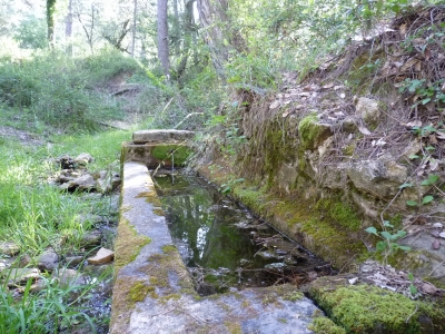 Fuente de la Mimbrera - imagen 5