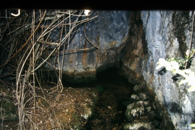 Fuentes Morenas - imagen 2