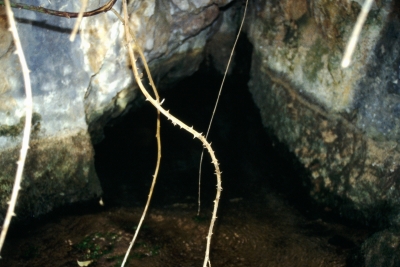 Fuentes Morenas - imagen 4