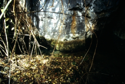Fuentes Morenas - imagen 5