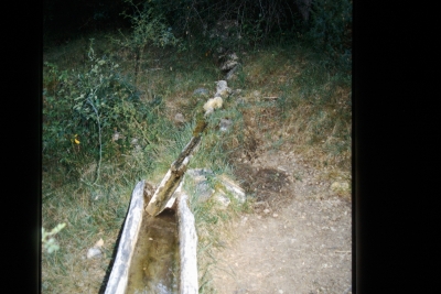 Fuente Nueva - imagen 2