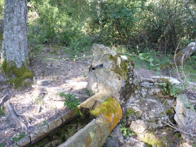 Fuente del Ramo - imagen 6