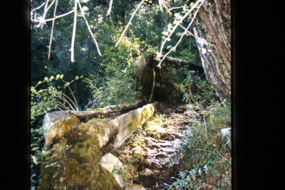 Fuente de la Umbría - imagen 1