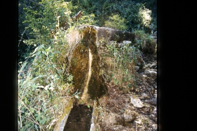 Fuente de la Umbría - imagen 3