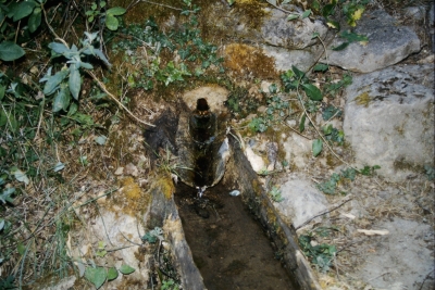 Fuente de la Umbría - imagen 6