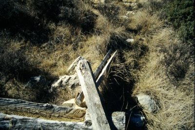 Fuente de Cañada Pinilla - imagen 1