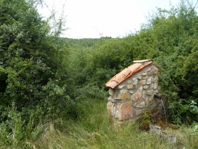Fuente de la Dehesa de Molinillos - imagen 2