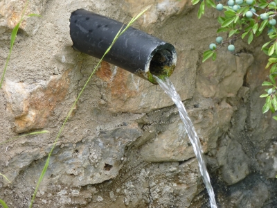 Fuente de la Dehesa de Molinillos - imagen 3
