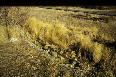 Fuente de los Gamellones de la Vega - imagen 1