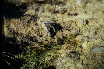 Nacimiento del Guadiela I - imagen 1
