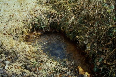 El Baño - imagen 1