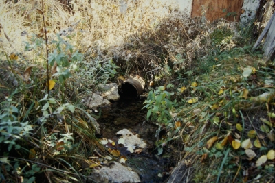 Fuente María Martín - imagen 1