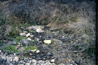 Fuente la Palomara - imagen 1