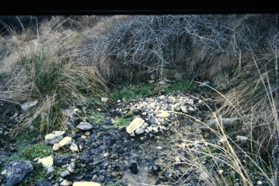 Fuente la Palomara - imagen 2