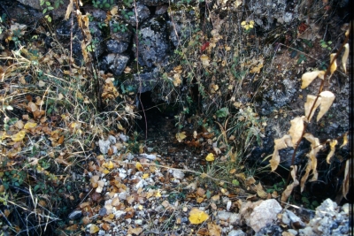 Fuente Pinilla - imagen 1