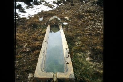 Fuente del Pozuelo - imagen 1