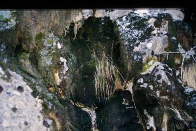 Fuente de Valhernando (de abajo) - imagen 2