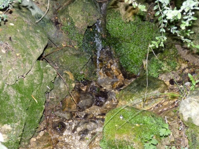 Fuente de la Albergara I - imagen 5