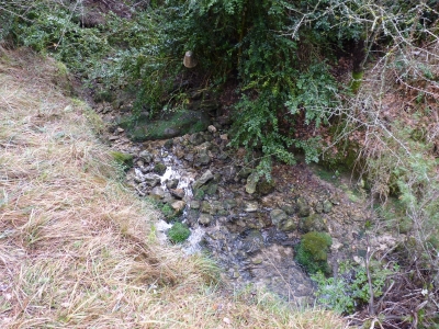 Fuente del Berrosillo - imagen 1