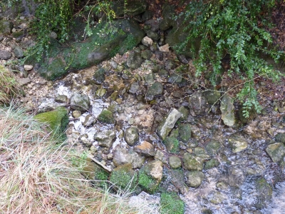 Fuente del Berrosillo - imagen 2