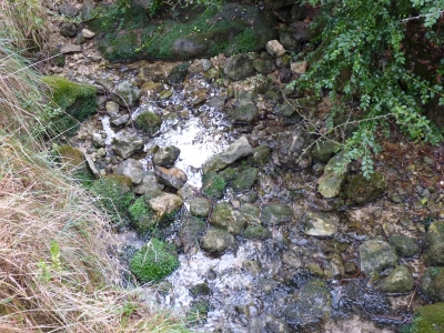 Fuente del Berrosillo - imagen 5