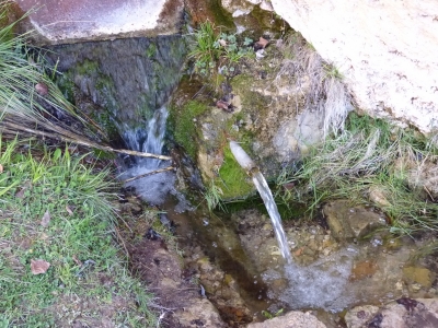 Fuente del Bronchero - imagen 2
