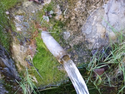 Fuente del Bronchero - imagen 3
