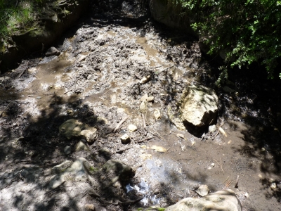 Fuente del Buitre - imagen 2