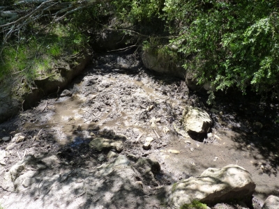 Fuente del Buitre - imagen 3