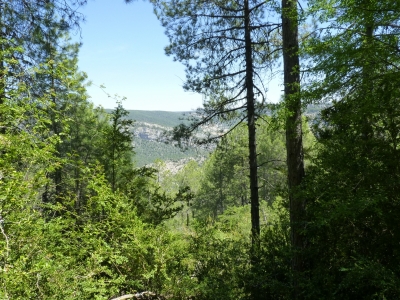 Fuente del Buitre - imagen 4