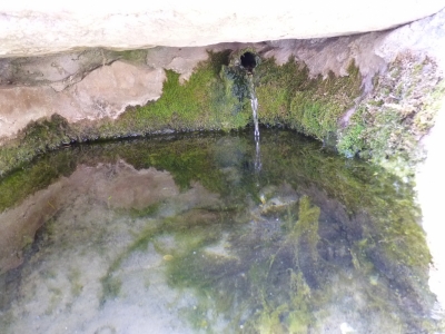 Fuente del Cáliz - imagen 2