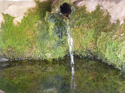 Fuente del Cáliz - imagen 4