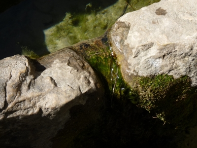 Fuente del Cáliz - imagen 5