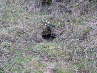 Fuente de las Cañás - imagen 1