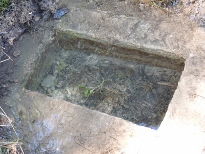Fuente de las Carboneras - imagen 4