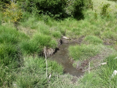 Fuente del Cieno - imagen 2