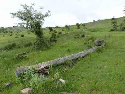 Fuente del Collao - imagen 1