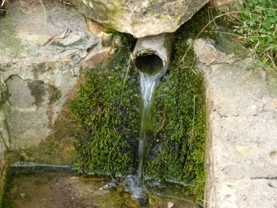 Fuente del Collao - imagen 3