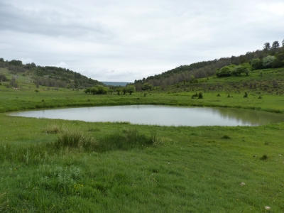 Fuente del Collao - imagen 5