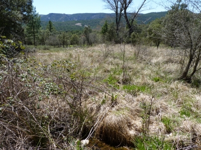 Fuente los del Corral - imagen 1