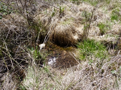 Fuente los del Corral - imagen 2