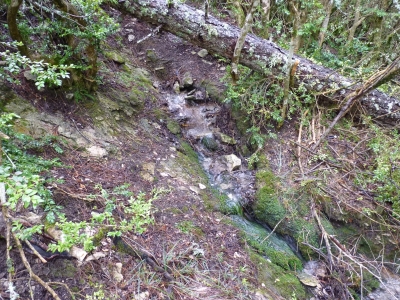 Fuente de la Cueva del Humoso - imagen 1