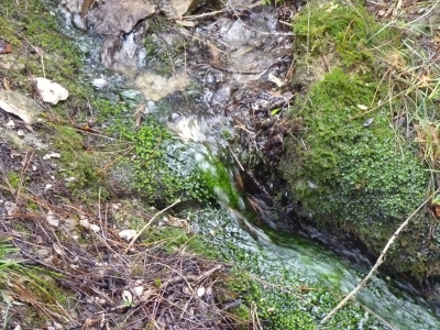 Fuente de la Cueva del Humoso - imagen 2