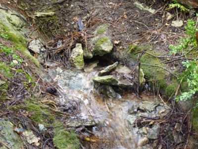 Fuente de la Cueva del Humoso - imagen 3