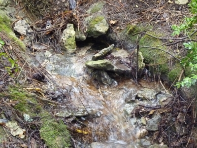 Fuente de la Cueva del Humoso - imagen 4